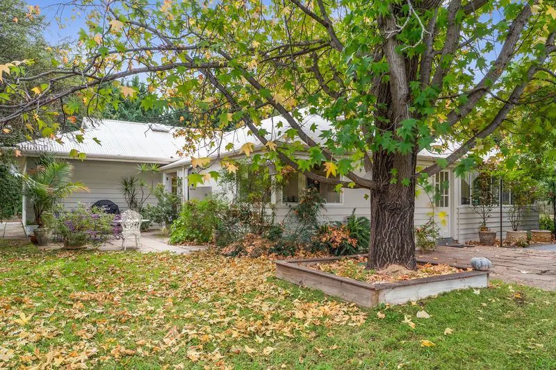 146 Morgan Road, Barmera, SA, 5345 - Image 4