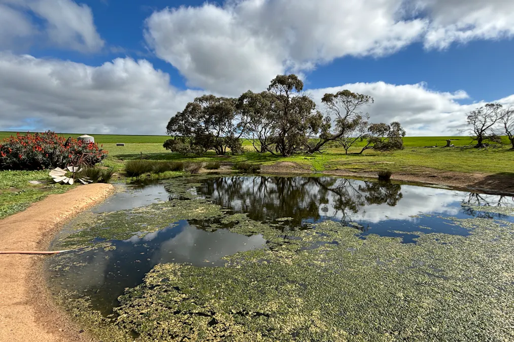 404  Marshalls Road, Ungarra, SA, 5607 - Image 7