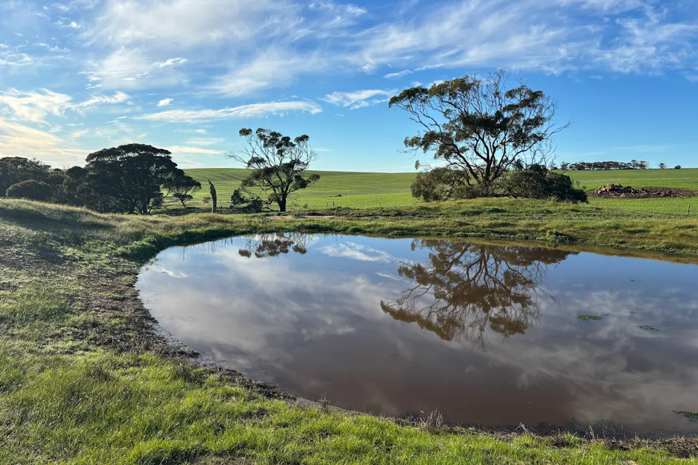 404  Marshalls Road, Ungarra, SA, 5607 - Image 22