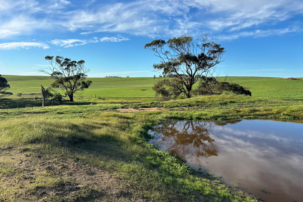 404  Marshalls Road, Ungarra, SA, 5607 - Image 14