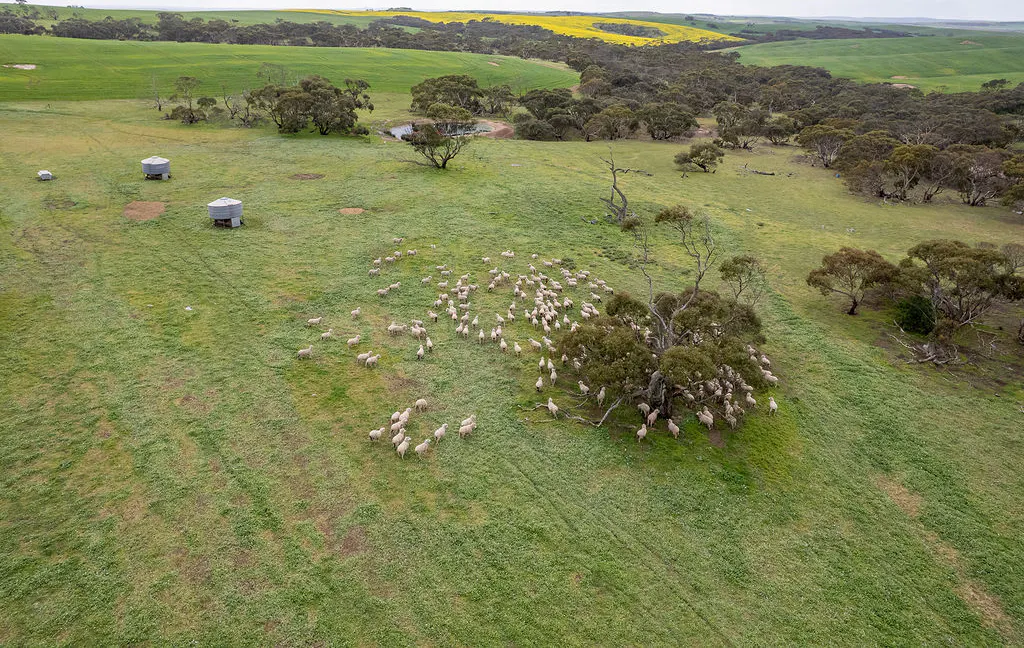 404  Marshalls Road, Ungarra, SA, 5607 - Image 13
