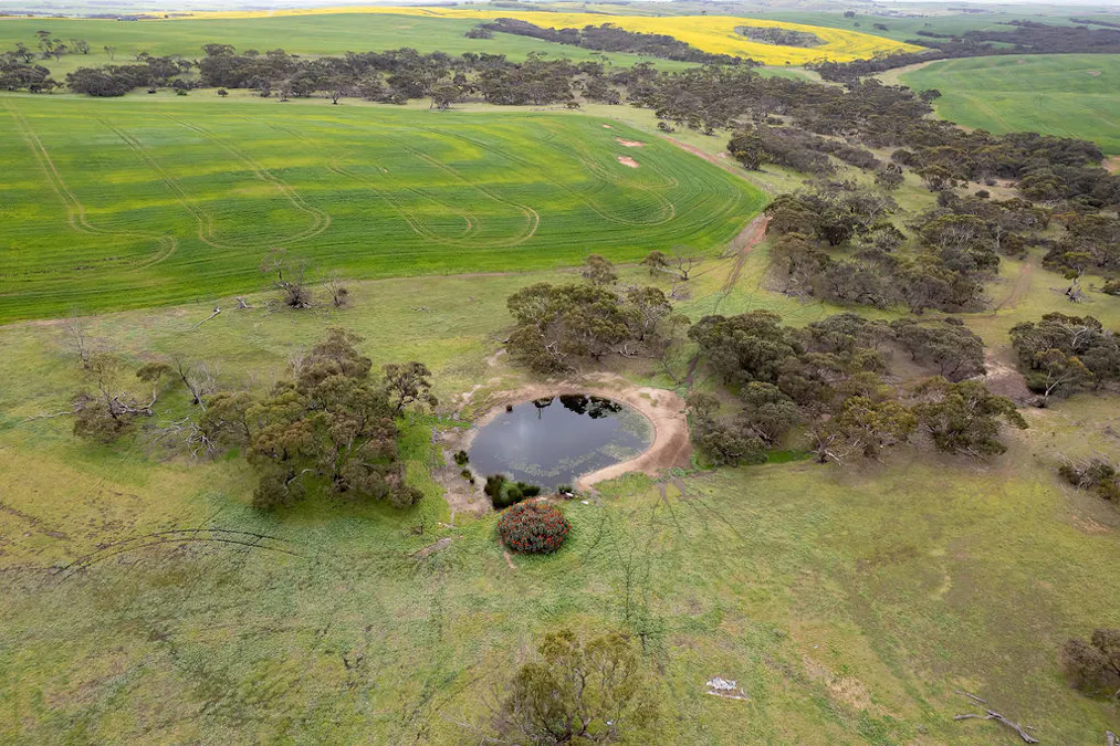 404  Marshalls Road, Ungarra, SA, 5607 - Image 12