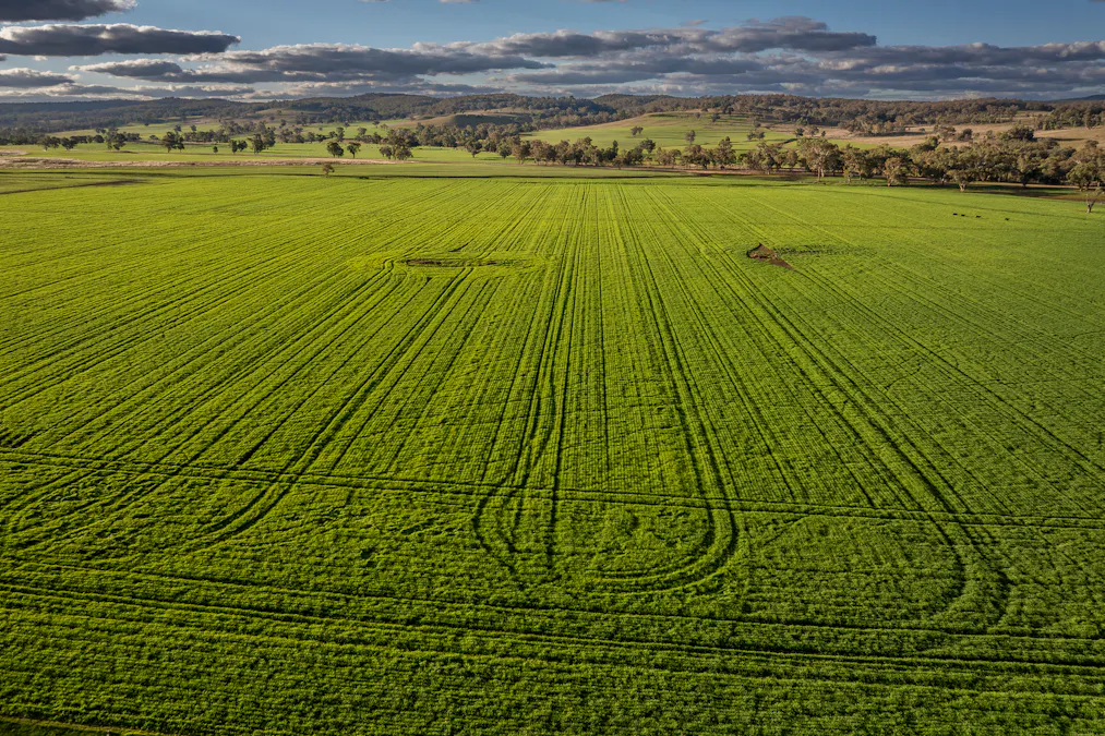 4500 Purlewaugh Road, Purlewaugh, NSW, 2357 - Image 8