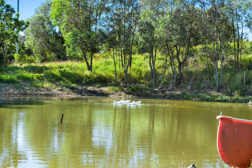 104 Lutter Road, Charlwood, QLD, 4309 - Image 30