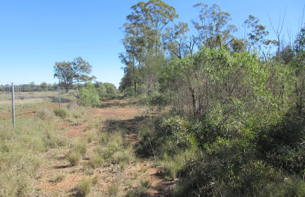 Lot 17 Staines Road, Tara, QLD, 4421 - Image 1