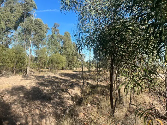 Lot 7 Cartens Lane, Tara, QLD, 4421 - Image 1