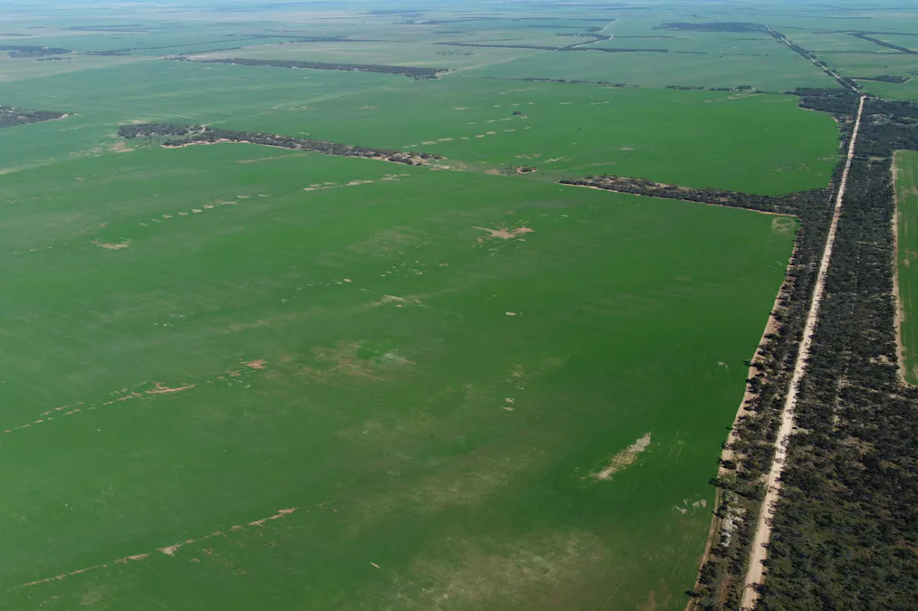 42666 Eyre Highway, Mudamuckla, SA, 5680 - Image 14