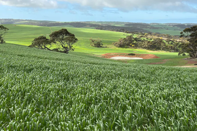 778 Pillaworta Road, Koppio, SA, 5607