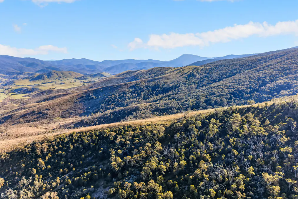 20 Nunniong Plains Track, Bindi, VIC, 3896 - Image 17