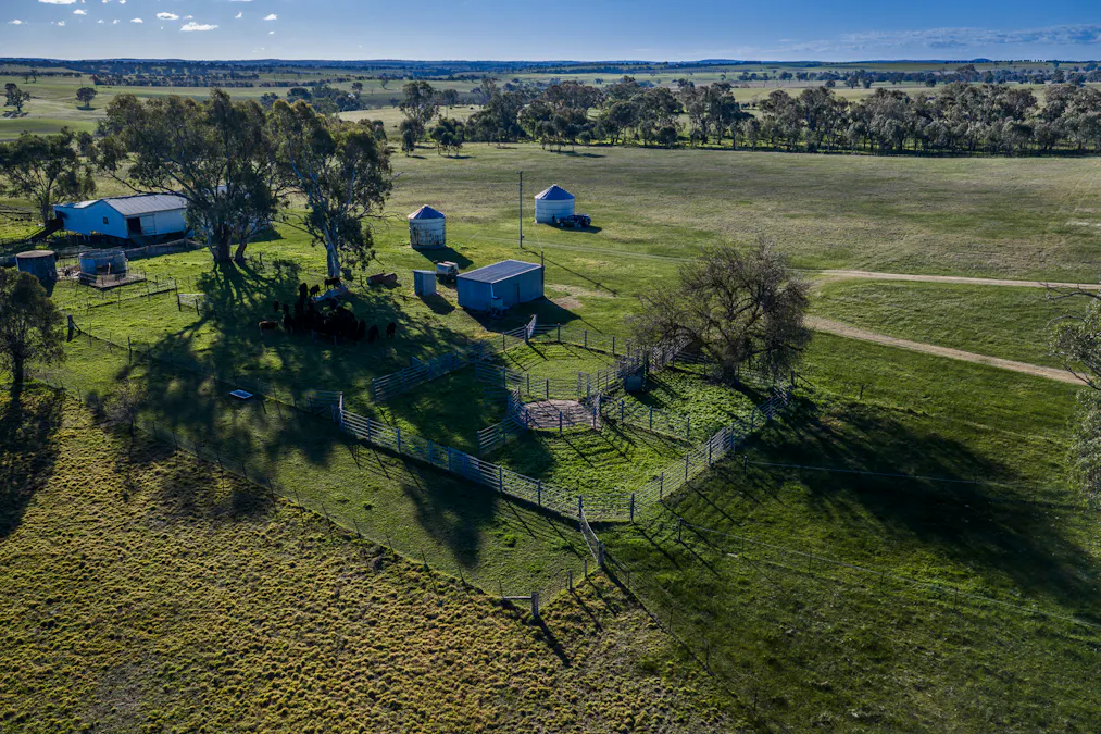 51 Normanhurst Lane, Boorowa, NSW, 2586 - Image 18