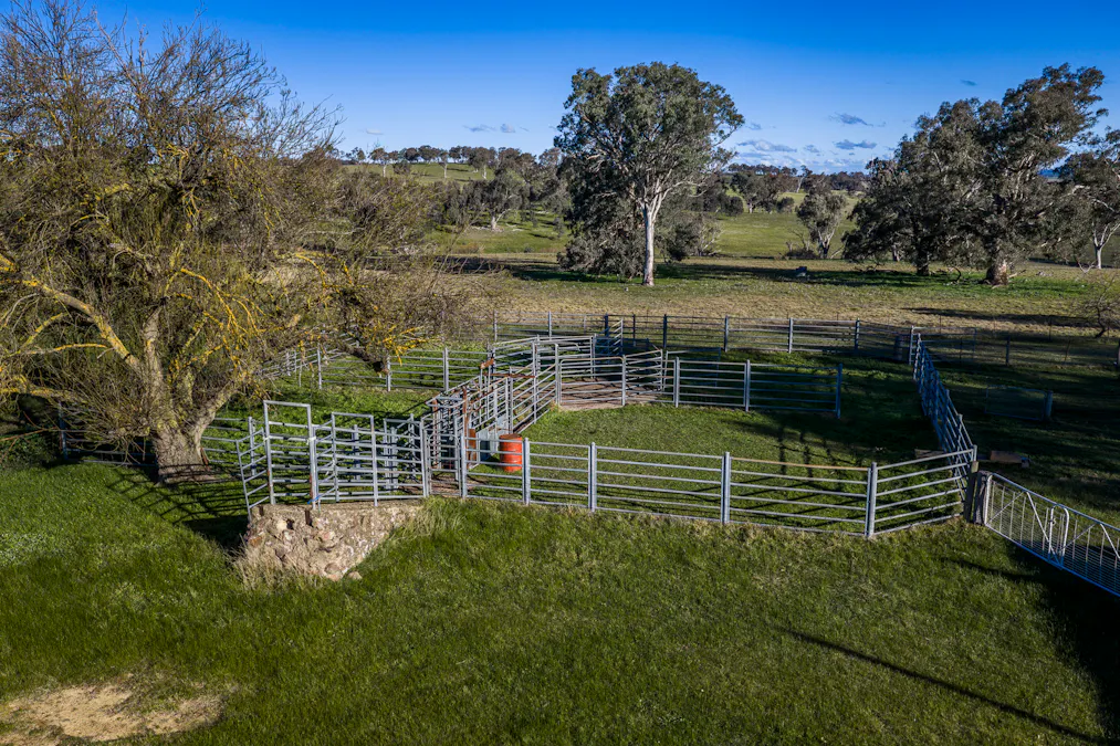 51 Normanhurst Lane, Boorowa, NSW, 2586 - Image 17