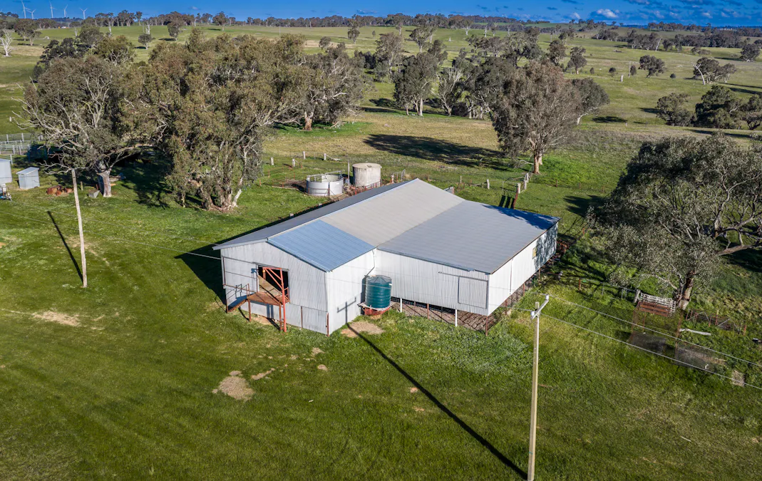 51 Normanhurst Lane, Boorowa, NSW, 2586 - Image 4