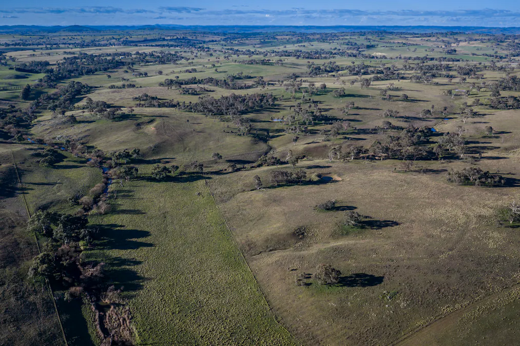 51 Normanhurst Lane, Boorowa, NSW, 2586 - Image 30