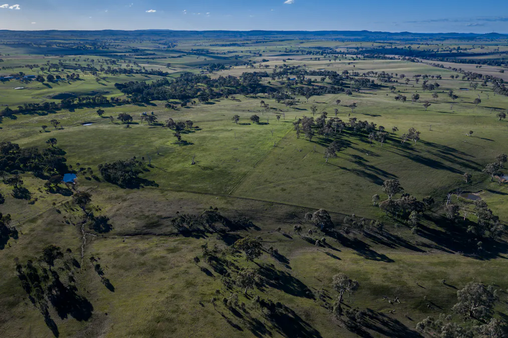 51 Normanhurst Lane, Boorowa, NSW, 2586 - Image 32