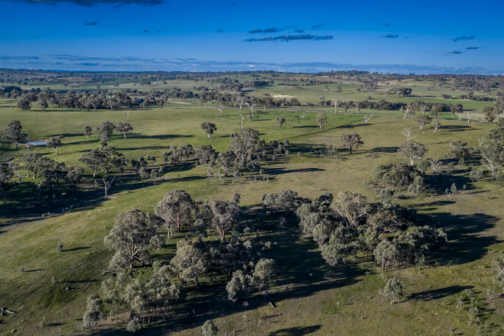51 Normanhurst Lane, Boorowa, NSW, 2586 - Image 33