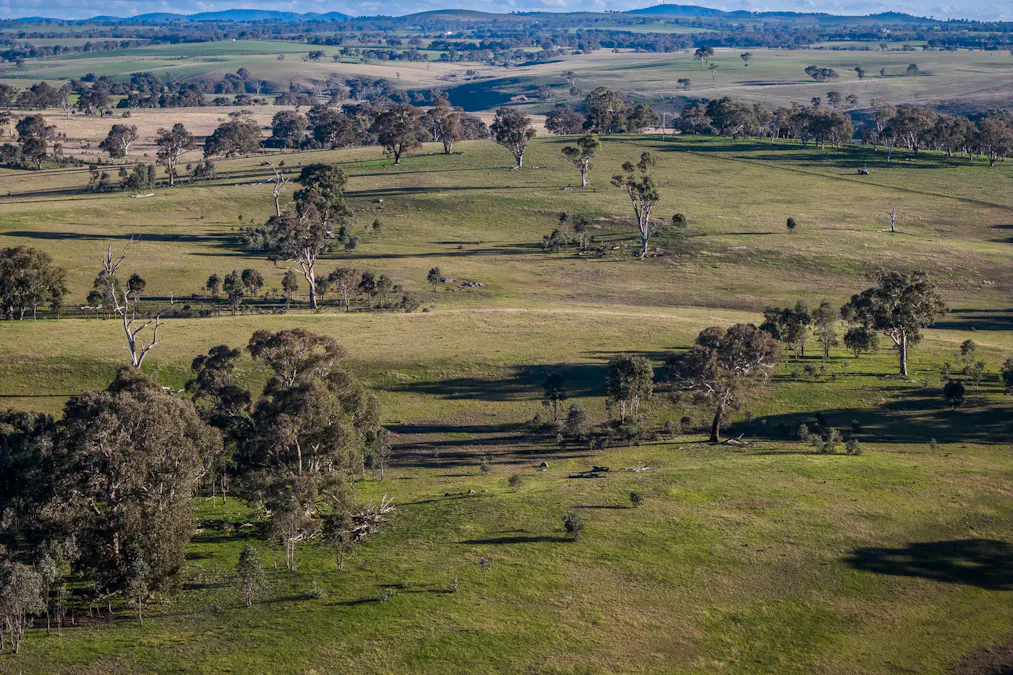 51 Normanhurst Lane, Boorowa, NSW, 2586 - Image 35