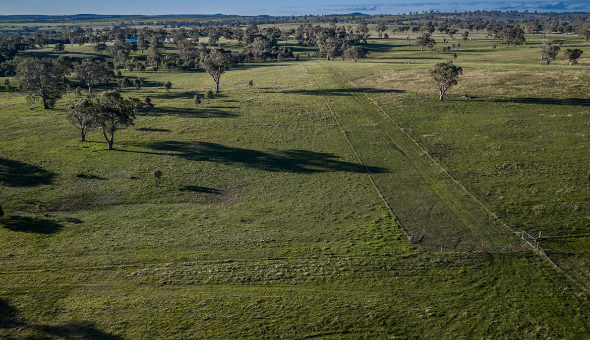 51 Normanhurst Lane, Boorowa, NSW, 2586 - Image 9
