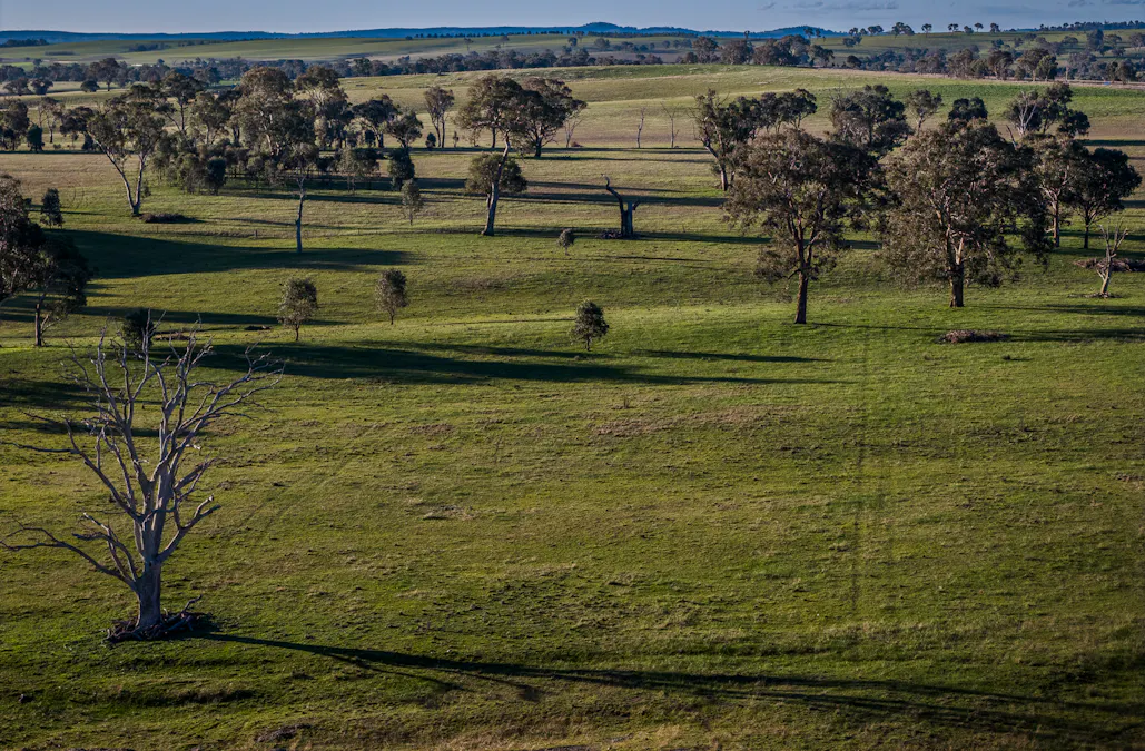 51 Normanhurst Lane, Boorowa, NSW, 2586 - Image 11