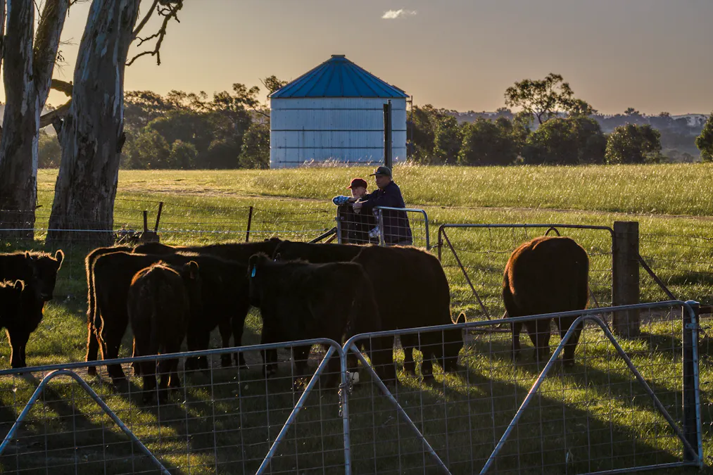 51 Normanhurst Lane, Boorowa, NSW, 2586 - Image 19
