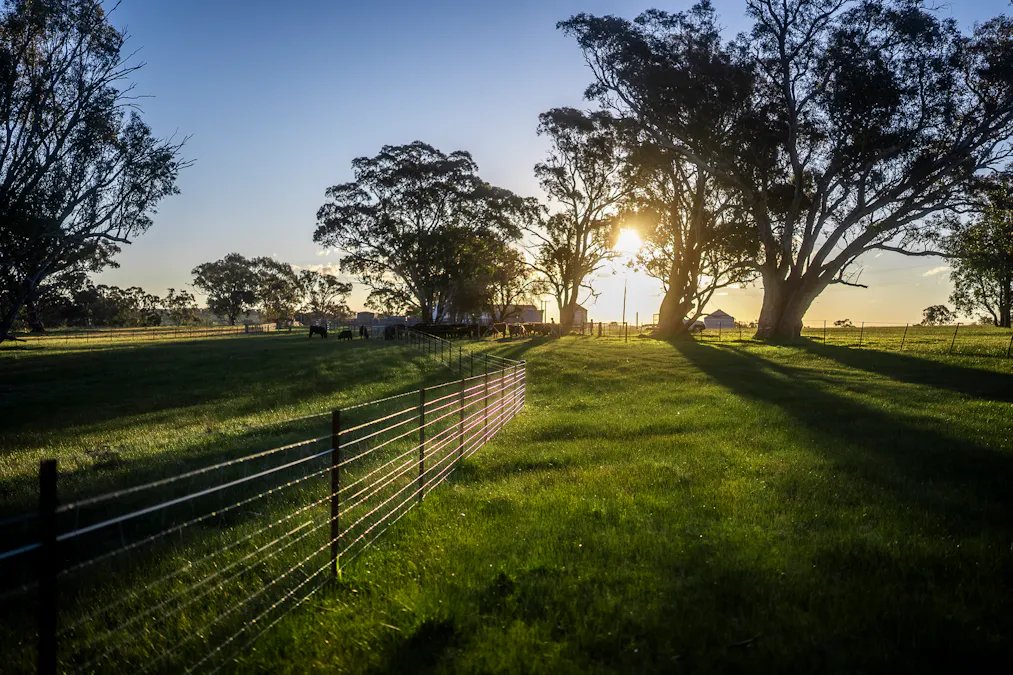 51 Normanhurst Lane, Boorowa, NSW, 2586 - Image 12
