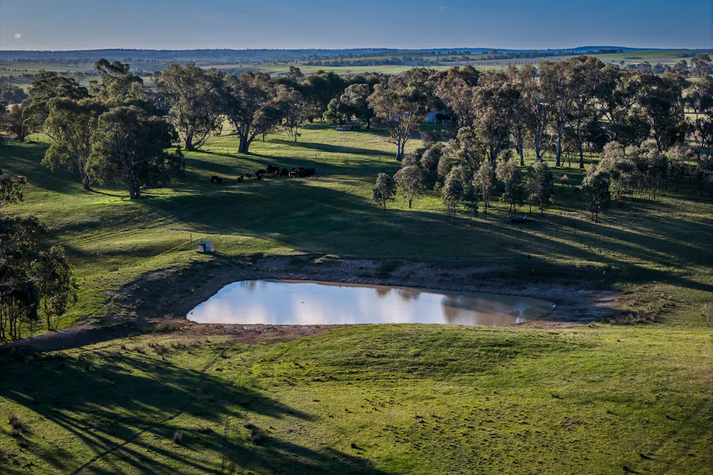 51 Normanhurst Lane, Boorowa, NSW, 2586 - Image 29