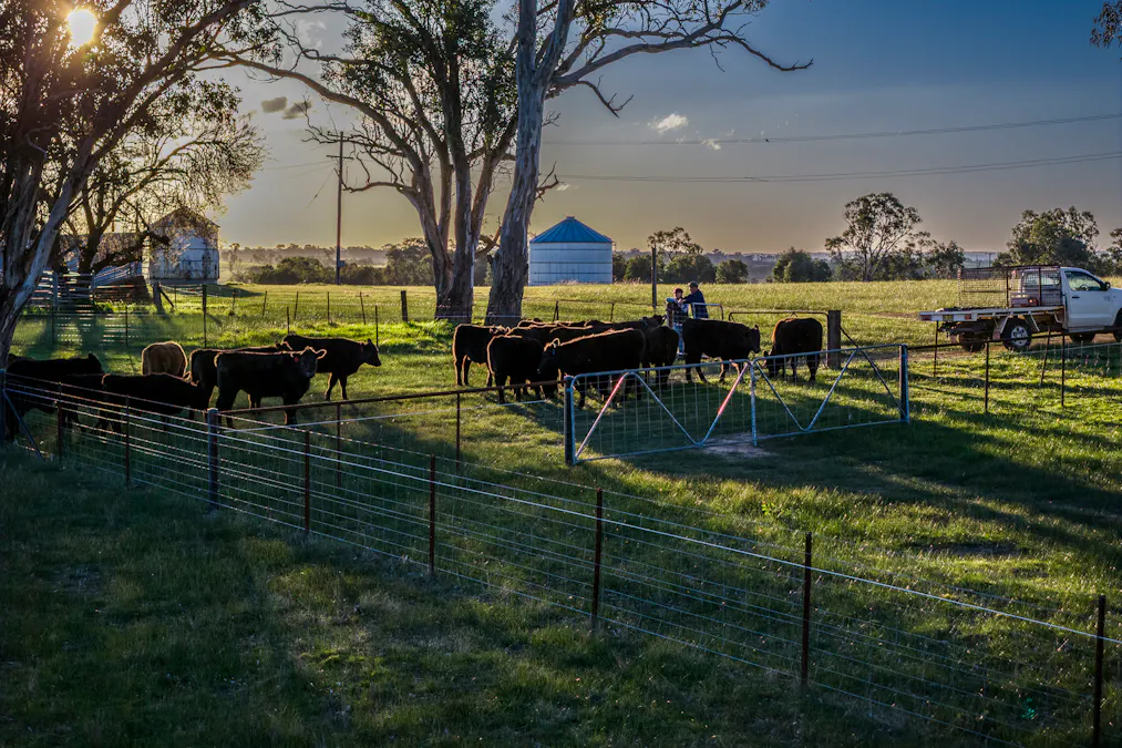 51 Normanhurst Lane, Boorowa, NSW, 2586 - Image 24
