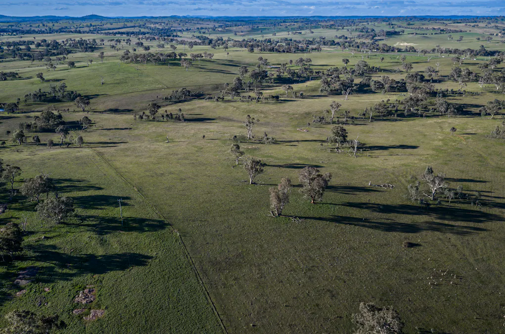 51 Normanhurst Lane, Boorowa, NSW, 2586 - Image 10