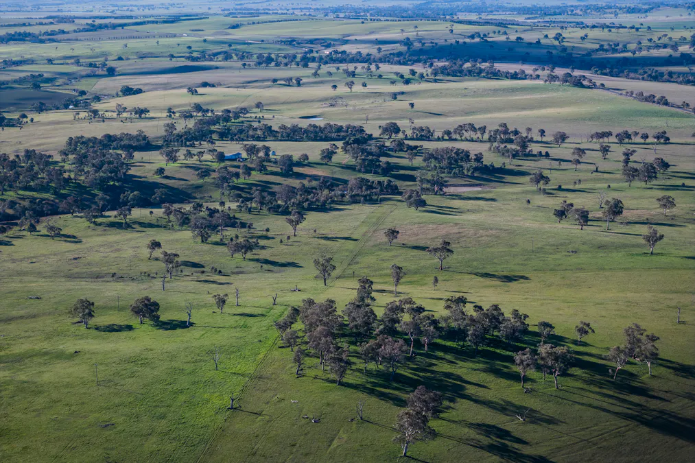 51 Normanhurst Lane, Boorowa, NSW, 2586 - Image 8