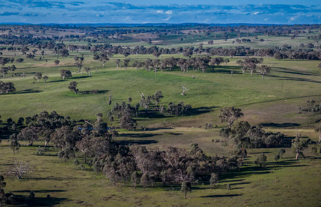 51 Normanhurst Lane, Boorowa, NSW, 2586 - Image 31