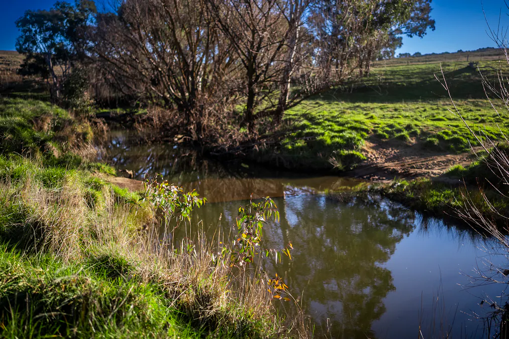51 Normanhurst Lane, Boorowa, NSW, 2586 - Image 7