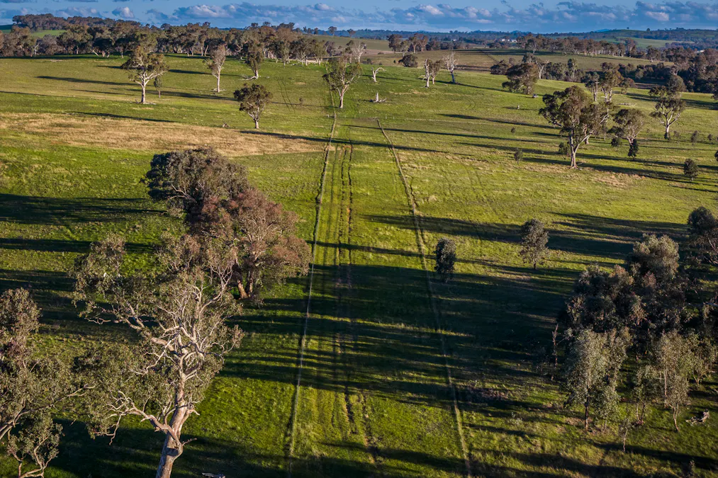 51 Normanhurst Lane, Boorowa, NSW, 2586 - Image 27
