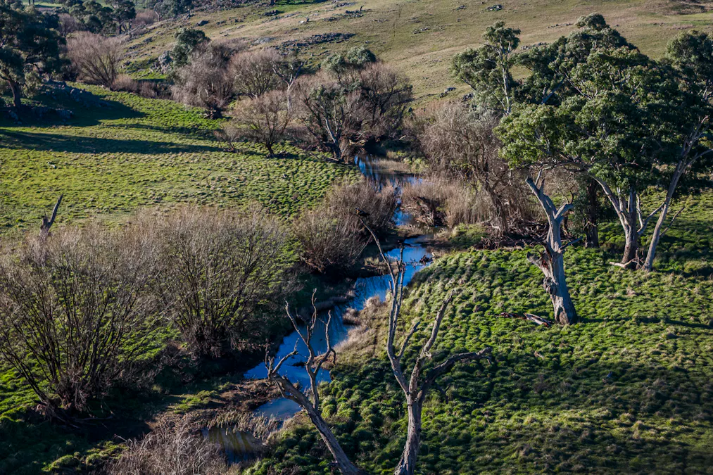 51 Normanhurst Lane, Boorowa, NSW, 2586 - Image 6