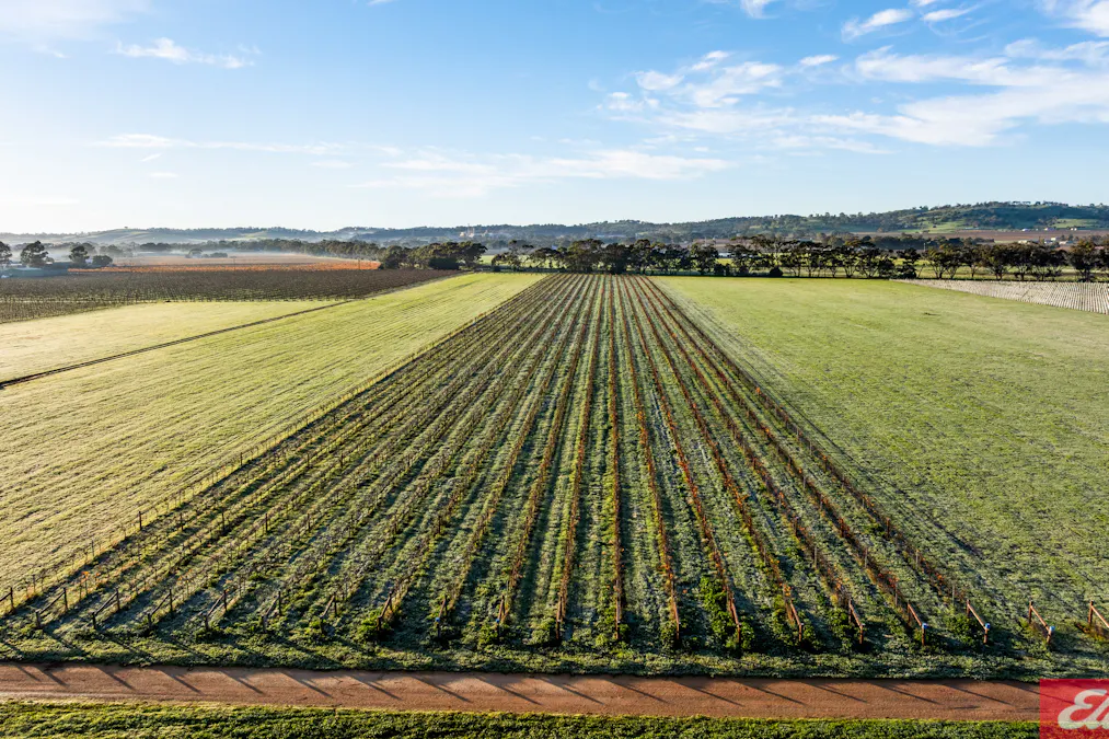 59 Siegersdorf Road, Tanunda, SA, 5352 - Image 9