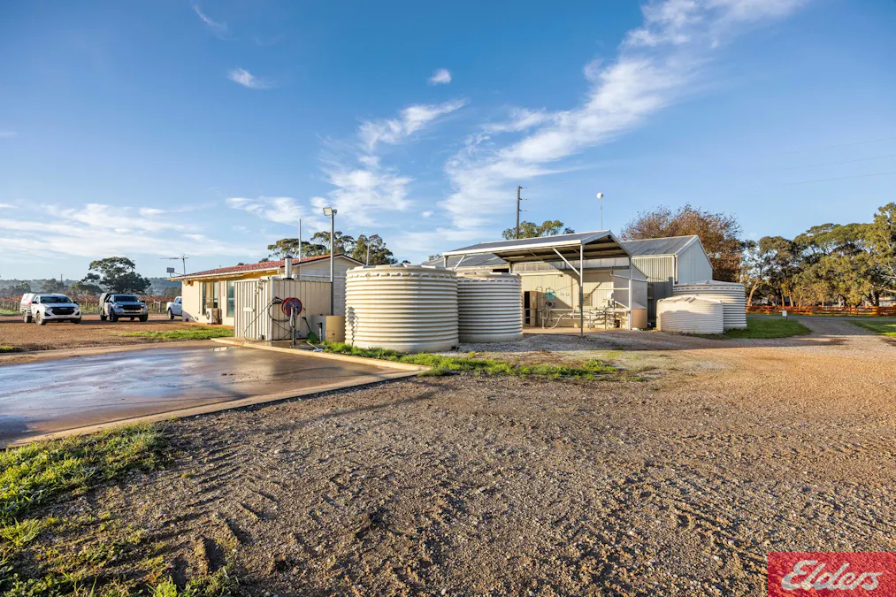 59 Siegersdorf Road, Tanunda, SA, 5352 - Image 16