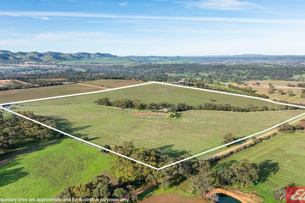 Lot 25 Koch Road, Rowland Flat, SA, 5352 - Image 5