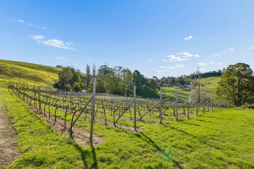 2519 Korumburra - Warragul Road, Tetoora Road, VIC, 3821 - Image 4
