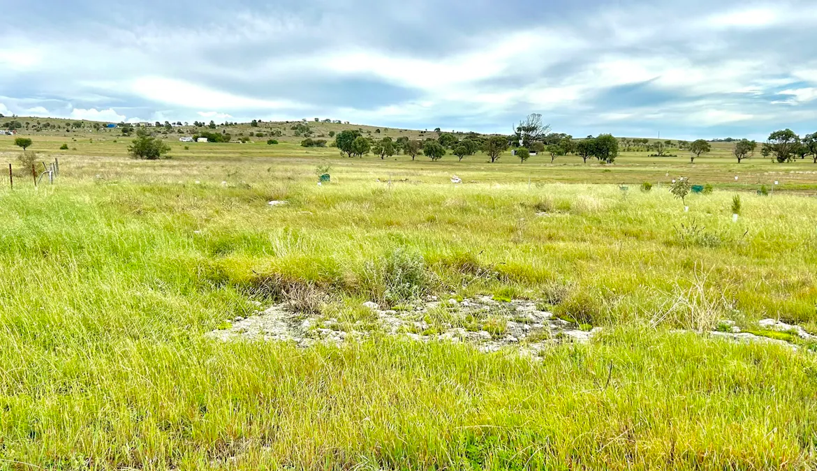 52/Second Street, Sheringa, SA, 5607 - Image 7