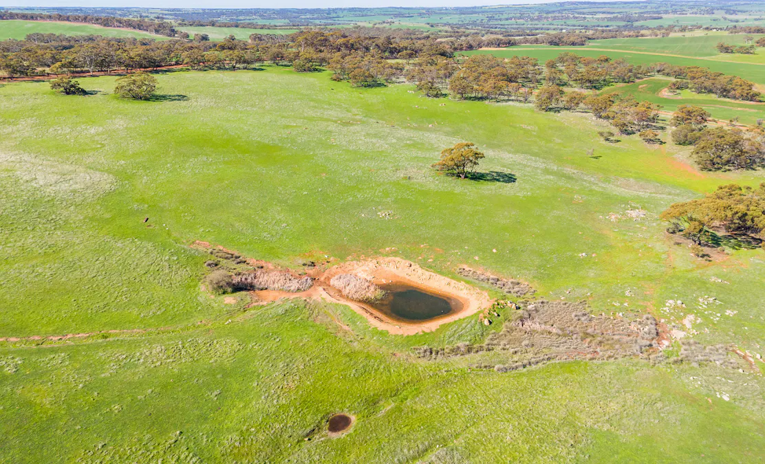 271 Old Plains Road, Toodyay, WA, 6566 - Image 27