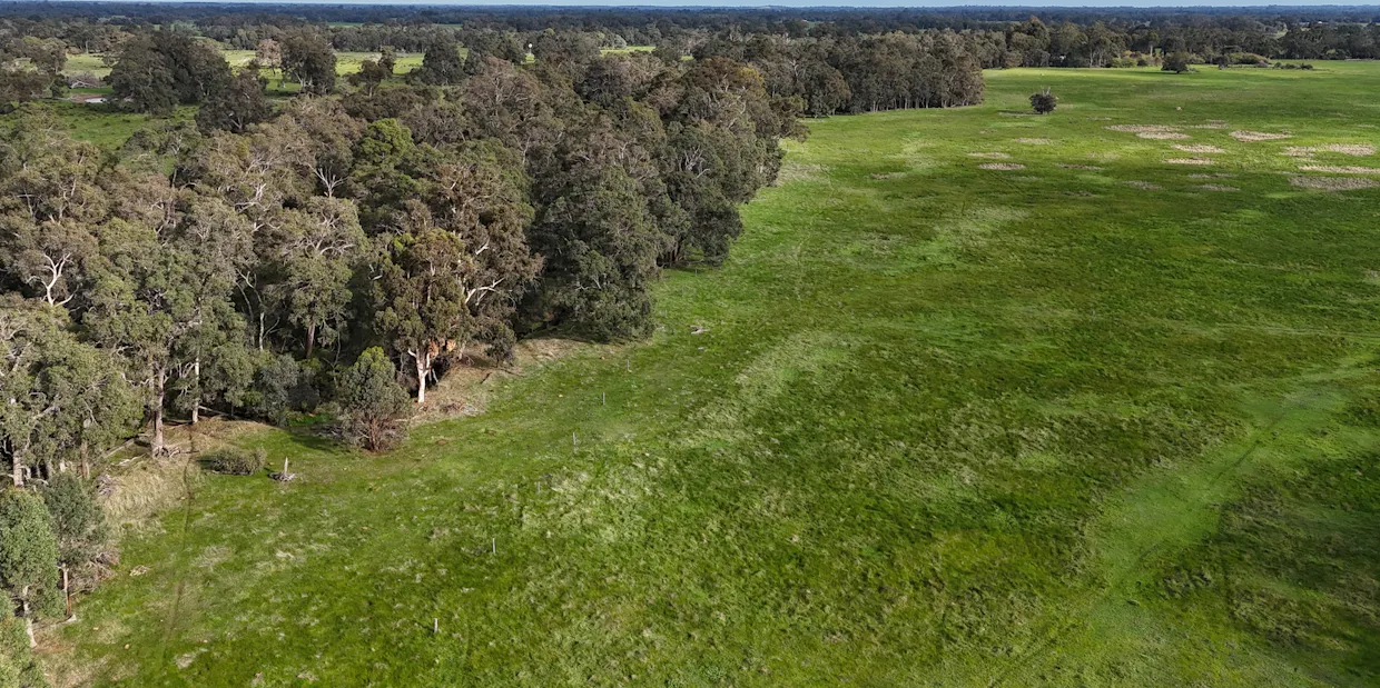 Lot 100 Crooked Brook/ Twomey Road, Crooked Brook, WA, 6236 - Image 4