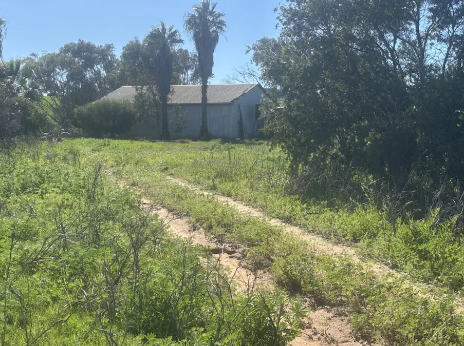 199 Hatch Road, Bowes, WA, 6535 - Image 10