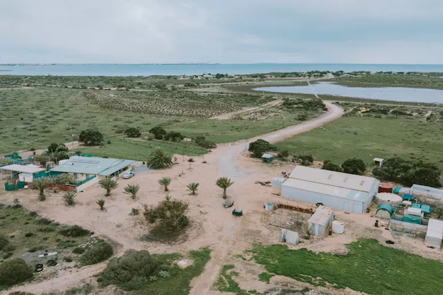 358 Denial Bay Road — photo from Elders Real Estate Wudinna
