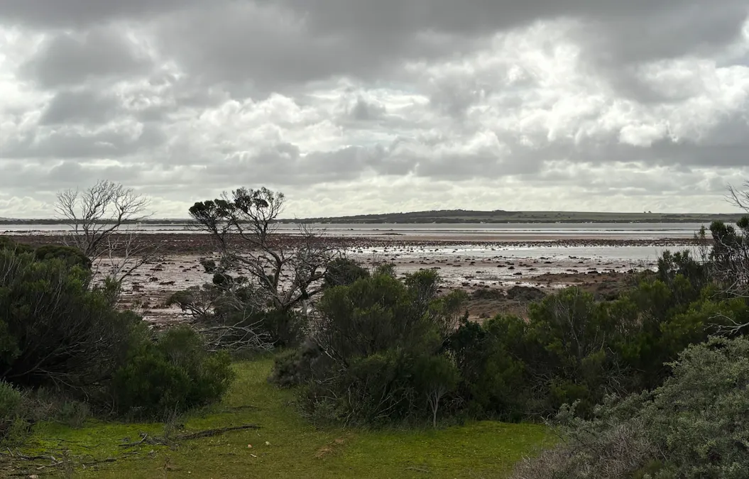 Lot 11 Sceale Bay Road, Yanerbie, SA, 5680 - Image 19