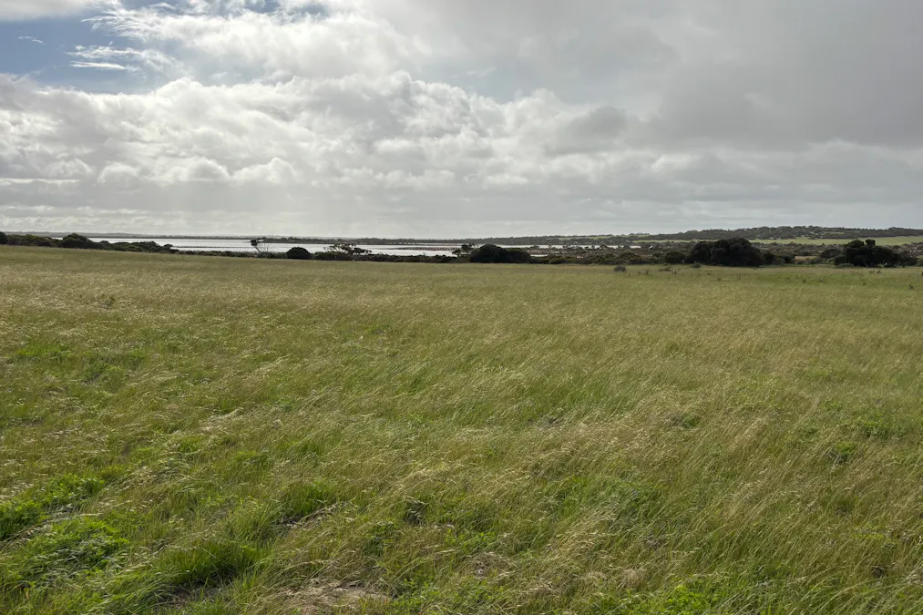 Lot 11 Sceale Bay Road, Yanerbie, SA, 5680 - Image 22