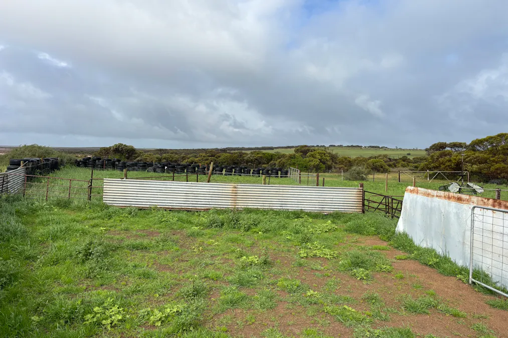 Lot 11 Sceale Bay Road, Yanerbie, SA, 5680 - Image 16
