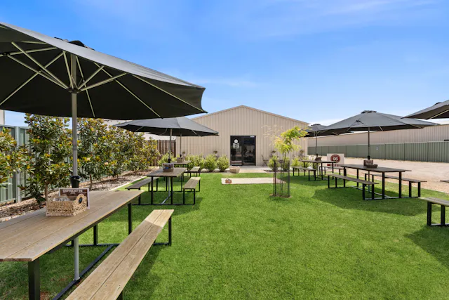 96 Trenerry Avenue — photo from Elders Real Estate Riverland