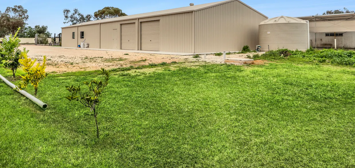 96 Trenerry Avenue, Loxton, SA, 5333 - Image 2