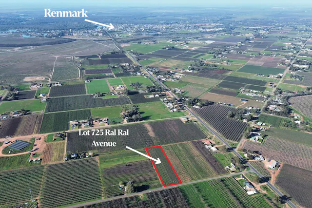 Ral Ral Avenue — photo from Elders Real Estate Waikerie