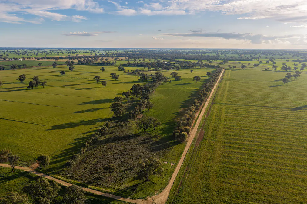 1484 Centre Road, Moama, NSW, 2731 - Image 1