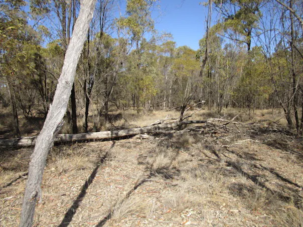 Lot 140 Lucky Road, Tara, QLD, 4421