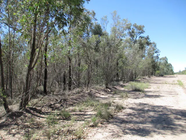 Lot 140 Lucky Road, Tara, QLD, 4421 - Image 2